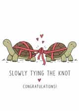 Funny Wedding Card for Couple – Slowly Tying the Knot Tortoises created by Amy Corlett