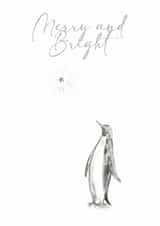 Christmas card classic drawing - penguin illustration - for friend or family created by Victoria Lucy Williams