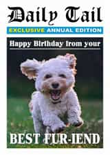 Personalised Birthday Photo Card created by Of Life & Lemons Ltd. - Funny Birthday Card - Daily Tail Newspaper