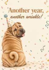 Another year another wrinkle Shar Pei birthday card created by Paws and Post