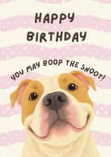 Happy Birthday, You May Boop the Snoot – Cute Dog Card created by Paws and Post
