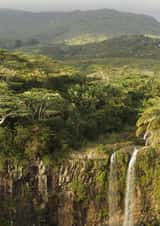waterfall jungle Religious Card 22116 created by Nic Barbier
