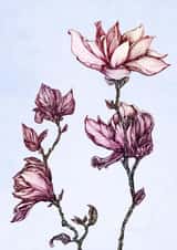 flower flowers Sympathy Card 22339 created by Anna Stankevich