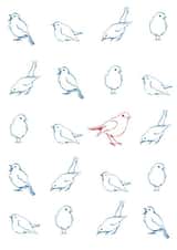 birds animals Card 22343 created by Anna Stankevich