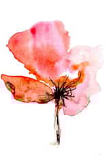 Flower watercolor Thinking of you Card 1091 created by Adeeba Faheem