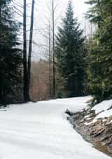 landscape canada Card 23024 created by George Bale