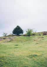 mendips landscape Card 23032 created by George Bale