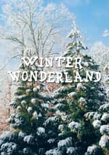 christmas love Christmas Card 23169 created by David Delahunty