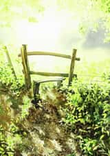 Light peace Card 22753 created by L i z H a n k i n s