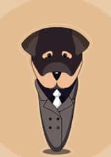 MALE FEMALE Card 23405 created by Andres Mogollon