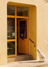 Photography MALE Card 23395 created by Craig Easton