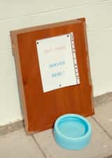 Photography MALE Card 23396 created by Craig Easton