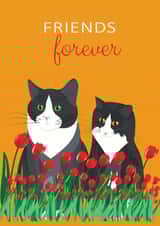 Tuxedo cat Thinking of you Card 24095 created by Lorraine Stylianou