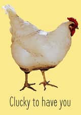chicken chick Anniversary Card 24831 created by Tofu'd Designs