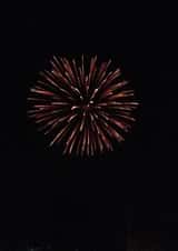 Fireworks Blank Photography Card 24771 created by Taliah C