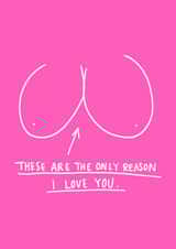 Rude Valentines Day Card - Boobs - These Are The Only Reason I Love You created by Charly Clements