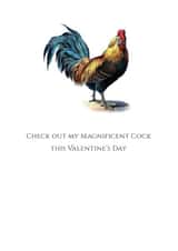 valentine cock Valentines Day Card 22597 created by Colonel I. P. Knightly