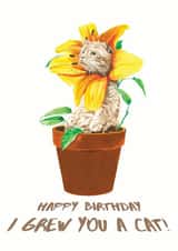 Birthday Funny Card 22672 created by Adam Davison