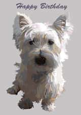 happybirthday happy Birthday Card 25880 created by Periodic Society