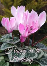 80th 80 Card 25991 created by Caroline Davies