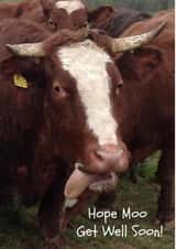 GetWell GetWellSoon Card 25994 created by Caroline Davies