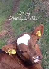 Happy HappyBirthday Card 25995 created by Caroline Davies