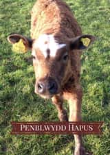 Penblwydd Hapus Card 25997 created by Caroline Davies