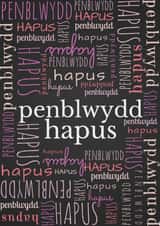 Penblwydd Hapus Card 25998 created by Caroline Davies