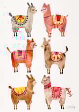 alpaca Animal Just because Card 3615 created by Cat Coquillette