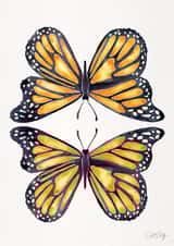 butterfly MALE Card 26227 created by Cat Coquillette