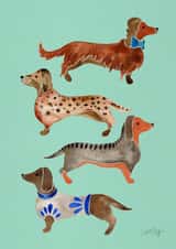 dachshund puppy Card 3620 created by Cat Coquillette