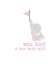 woo hoo! a new baby girl created by Dandelion Stationery