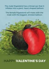 valentines day Valentines Day Card 26706 created by Drawberry Jam