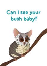 birthday vegetable Valentines Day Card 26581 created by Floppy Broc