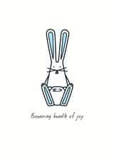 Bouncing bundle of joy 1001 created by Hoppy Bunnies