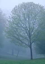 Photography Landscape Card 27755 created by Rick Shea