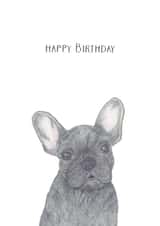 Happy Dog Birthday Card 5571 created by Louise Jewell