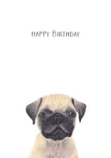 Pug Dog Birthday Card 5573 created by Louise Jewell