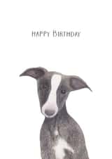Whippet Dog Birthday Card 27933 created by Louise Jewell