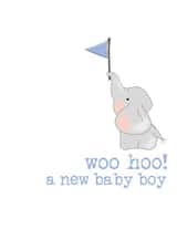 Woo Hoo! a new baby boy created by Dandelion Stationery