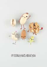 Cute Nuts Anniversary Card / Valentines Day Card - Nuts - I'm Totally Nuts About You created by Yippea