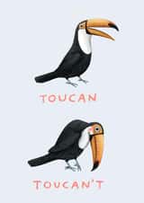 toucan toucant Exams Card 1120 created by Sophie Corrigan