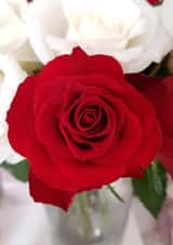 Wife Valentines Valentines Day Card 22565 created by Adeeba Faheem