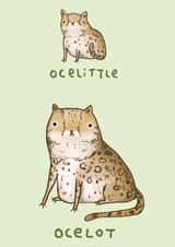 ocelittle ocelot Just because Card 1121 created by Sophie Corrigan