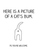 cat animal Just because Card 4950 created by Offhand Cards