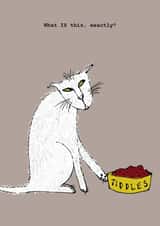 cat pet Humour Card 5175 created by Corrina Rothwell