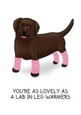 lovely labrador Love & Friendship Card 26350 created by Tessa Cheung