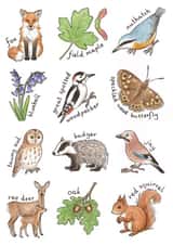 woodland wildlife Just because Card 28504 created by Hazel Fisher Creations