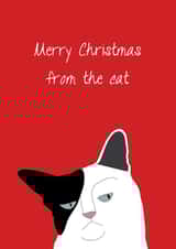 Adult Animal Card 26664 created by Ilka Dickens