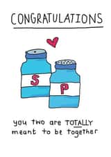 Salt and Pepper card - Perfect pair card - Wedding and Engagement created by Che Dyer